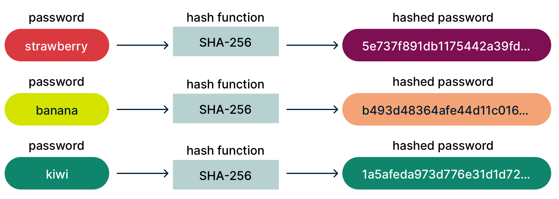 Different passwords hashed to form seemingly random strings of characters.